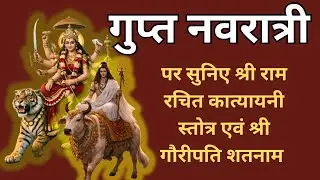 हर कार्य में सफलता चाहिए, शत्रु पर विजय चाहिए और मनचाहा जीवनसाथी चाहिए तो ये स्तोत्र नित्य सुनिए |