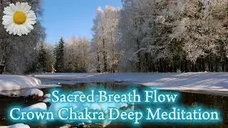 ✨ Sacred Breath Flow – Crown Chakra Deep Meditation