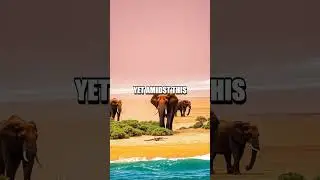The Untamed Wilderness of Namibia's Skeleton Coast