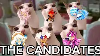 CAT MEMES: WE GOT ALL CANDIDATES!