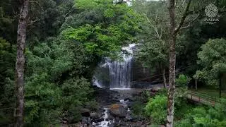 Discover Ayatana Coorg | Your luxury getaway in the heart of nature