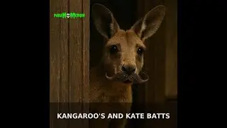 Ep 2: Kangaroos and Kate Batts
