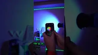 NEEWER RGB LED studio light