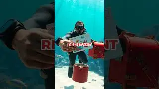 Send Mail 10m Underwater? Japan&rsquo;s Deep-Sea Postbox Mystery! 🌊📬