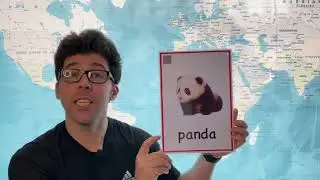 How to Pronounce Panda in English