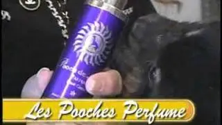 Luxury Pet Products