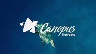 Experience the underwater world at Canopus Retreat