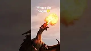 #dragon #fire #animals