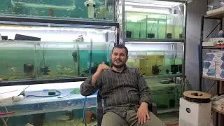 PET SHOPDA NANEYİ YEDİK GUZUMMM