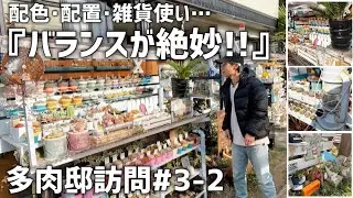 【多肉邸訪問】