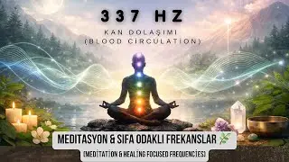 337 Hz Kan Dolaşımı ( Blood Circulation ) 🌿 Meditasyon / Meditation 🌿
