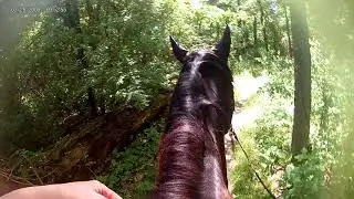 05/31 OTTB Trail Ride w/ friends Part 1
