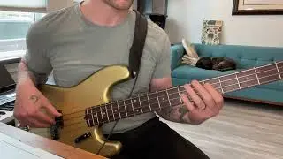 La Bella&rsquo;s New Olinto Flat Wound Strings // the P bass test