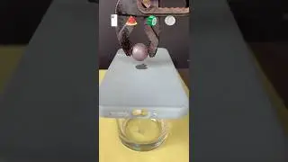 Which Item is Most Satisfying?#satisfying#foryou#experiment