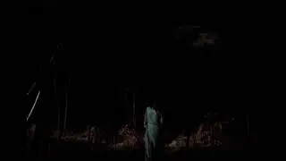 DEAD CAN DANCE | WILD IN THE WOODS [1984]