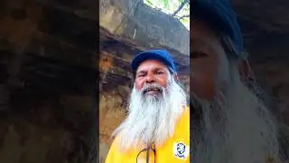 നാറാണത്തിനെ ചങ്ങലയ്ക്കിട്ടില്ല ഇവിടെ   #photomedia #youtubeshorts #shortsfeed #Home feed#watchnext
