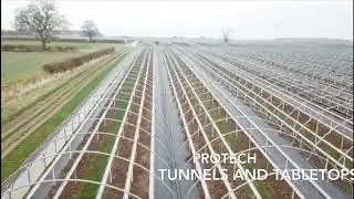 Protech tunnels, polytunnels, strawberry gutter tabletops