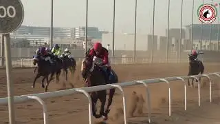 الأجتماع (21) الشوط (3) الجواد سياف : لسطبل السيحان