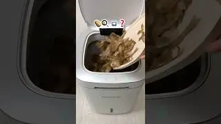 Spoiled Eggs Food Waste? (+ Potato Peels) 🍳🥔