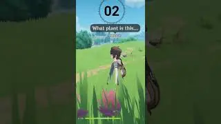 #genshinimpact