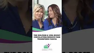 The Power of the Dolphin Neurostim: Reducing Stress and Elevating Health Esteem
