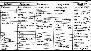 Difference between grain, head, long and loose smut of sorghum