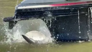 Werx Impeller Water Test