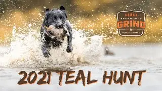 2021 Blue Winged Teal Hunt - Mississippi