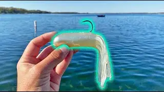 SIGHT FISHING MUSKIES In  SHALLOW CLEAR WATER!! - Incredible Live Strikes