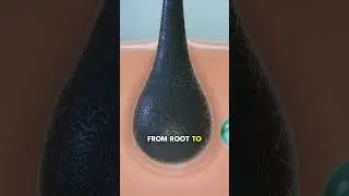 Clients&rsquo; Silky Hair Starts with a Vegan Hair Care