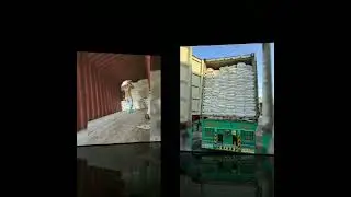 Ever Best Shipping  Company in Dubai!!! Chanel Sea Shipping LLC