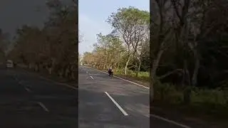 Peaceful Forest Picking | Nature Therapy #lucknowvibes