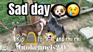Sad news 😔 new plans for the camp 😁 dog show ✅