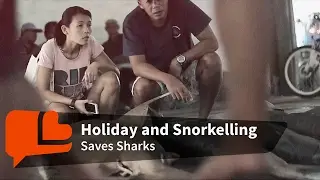 For Sharks&rsquo; Sake, Take a Vacation! (Warning: Graphic Content in First 30 Seconds)