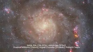 James Webb and Hubble Unveils Spiral Galaxy IC 5332