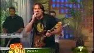 Mandini on Cada Dia