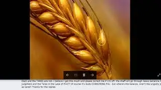 Wheat, Tares, and Chaff: What's the Difference
