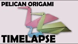 TIME-LAPSE PELICAN ORIGAMI !