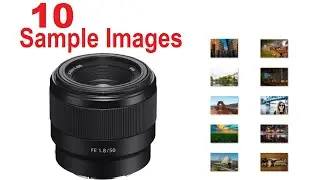 Sony FE 50mm 1.8 Sample Images [Photo Gallery] SEL50F18F for Everyday Shooting, Portraits, Low Light