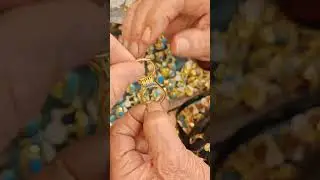 Beautiful Stone Ring Transformation | Magical Color Changing Jewelry