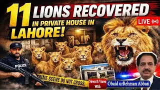 11 Lions Recovered from Private House in Lahore! | Wildlife Rescue Operation