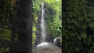 Maha Gangga Valley Rice Terrace, Bali - Waterfall - 19 June 2025