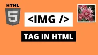 Img Tag In HTML | HTML Tutorial For Beginners | Part - 6