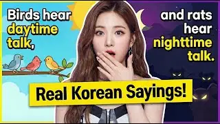 5 Korean Proverbs That Make You Sound Fluent Instantly