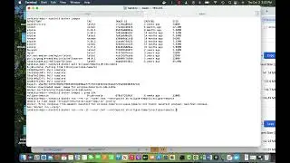 Docker images and Vulnerability Management - II