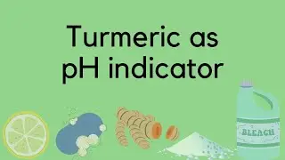 Turmeric Powder as pH indicator | Acidic or Alkaline?