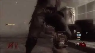 Zombies challenge series w/ The Assailant
