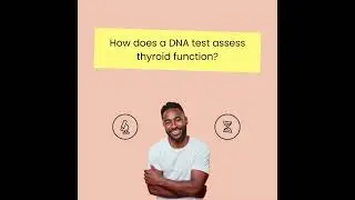 How does a DNA test assess thyroid function?