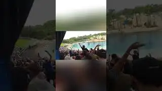 Some family fun at Seaworld Australia.  One of my favourite places to visit. 🥰