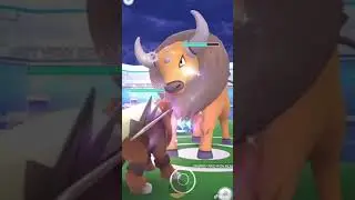 Pok&eacute;mon Go Tauros RAID! + ✨SHINYS✨